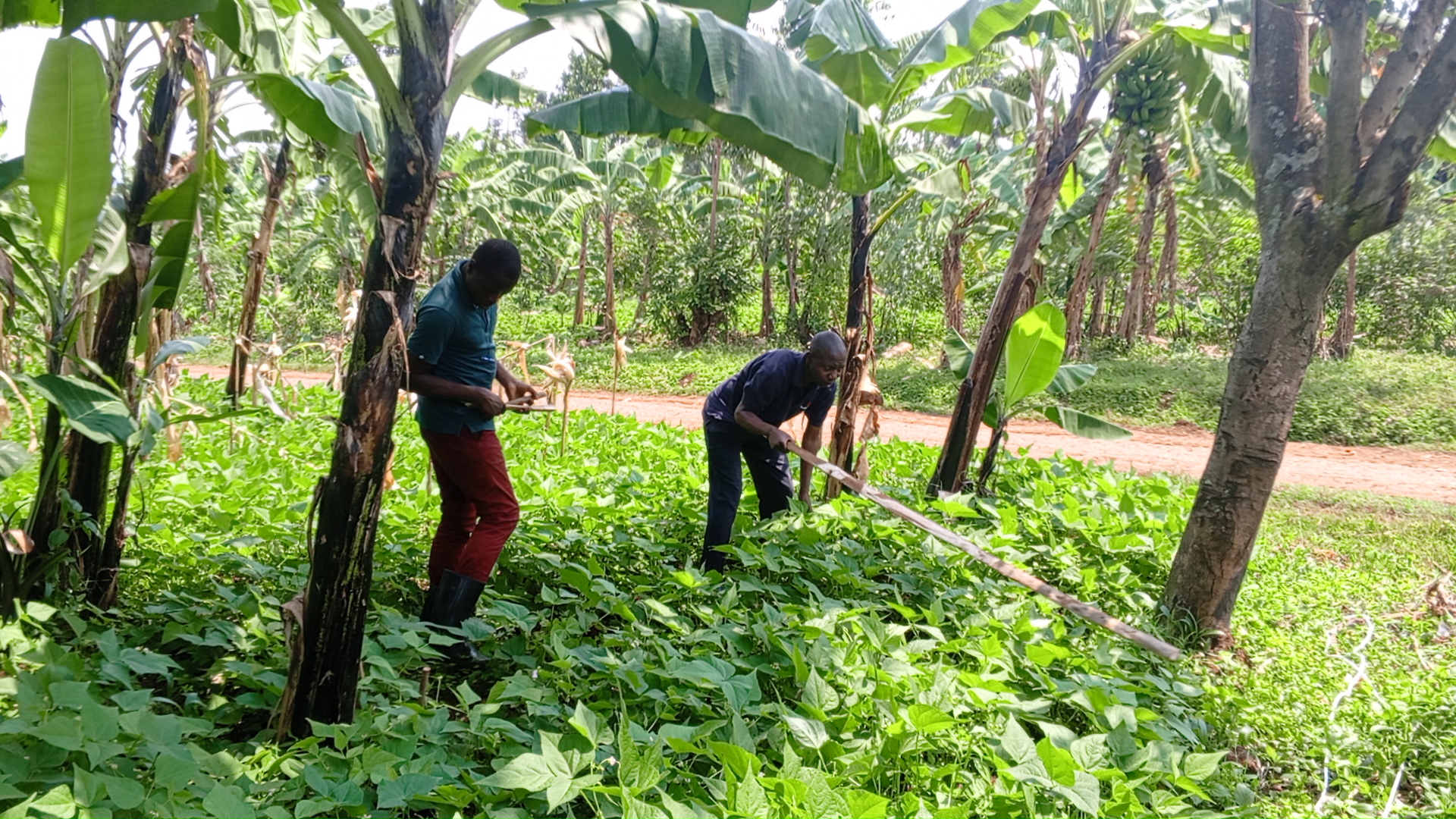 Soil and Water Conservation